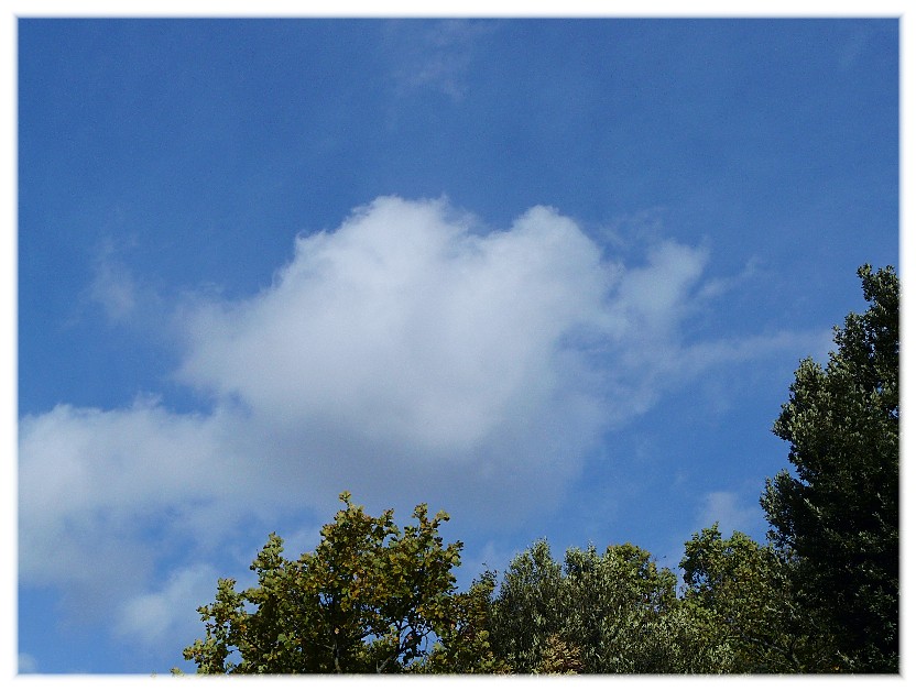 Le Nuvole................................
